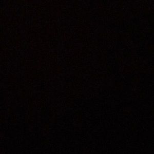 Meet your Posher, Sheba